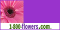 Buy Flowers Online